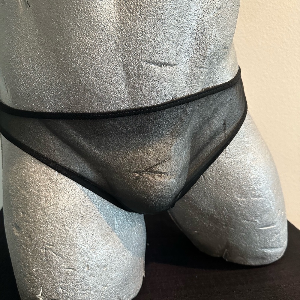 Twilight Brief - Sheer Black J039
